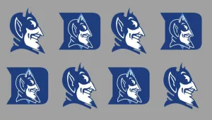 8 Piece Team Logo 2/2 Officially Licensed Waterless Peel & Stick Temporary Spirit Tattoos