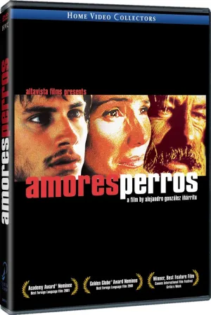 Amores Perros -- Spanish Release