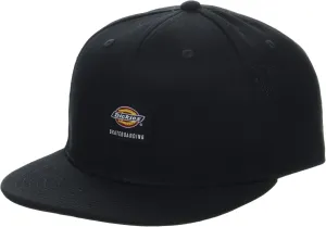 Dickies mens Skateboarding Flat Bill Cap