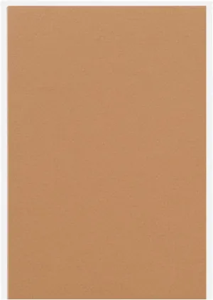 Maruman POST384PA Colored Drawing Paper Mittant Postcards, 20 Sheets, Buff