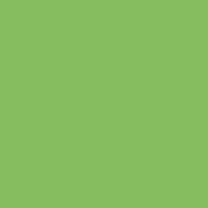 Prismacolor Premier Colored Pencils (Each) Apple Green 912 [Pack of 12 ]