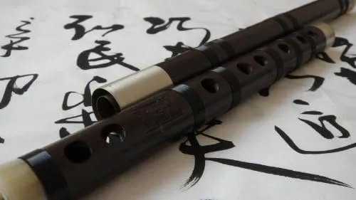 Professional Recovered Aged Rosewood Chinese Flute Dizi With USA- Based Warranty (Key of D)