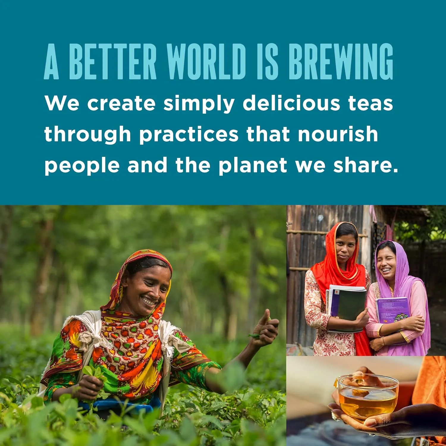 Teatulia Organic Green Tea Bags (50 Pyramid Sachet Teabags) Pure Whole Leaf Natural Green Tea In Bags. Premium 100% Compostable and Sustainably Grown In Bangladesh