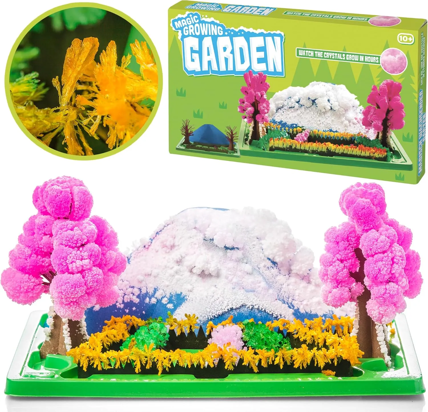 Tobar Magic Growing Garden Crystal Activity Kit, Multi-Colored